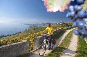 E-Bike-Hersteller fordern von Stiftung Warentest Verantwortung für finanzelle Schäden