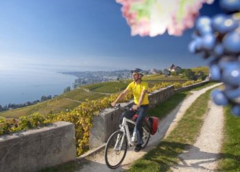 Flyer in den Rebbergen im Lavaux VD / Photo by Christof Sonderegger