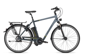 Raleigh - ra13 dover i harmony