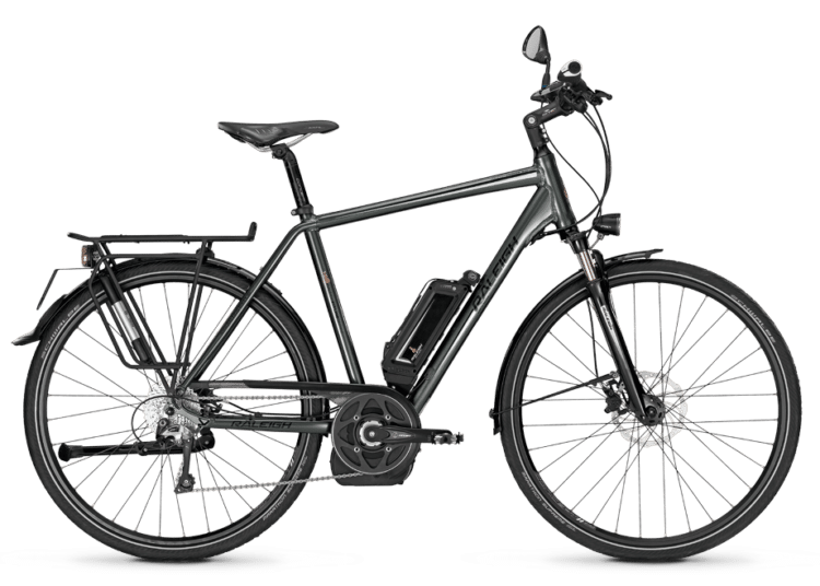 Raleigh Stoker BS 40 / Foto: Raleigh