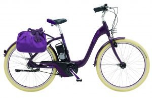 Bosch | Mittelmotor | Panasonic - Layana E Plus mit Tasche