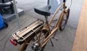 Electra - P1060506