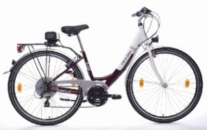 E-Bike-Boom in Österreich hält an