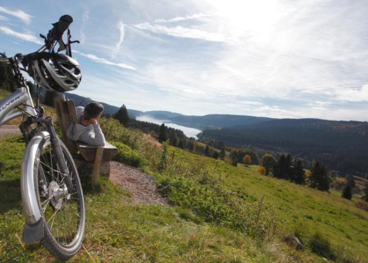Fahrradweg | Gesundheit | Schwarzwald - jpg