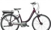Active Line | Bosch | Diamant - 6917636 2014 B 1 Achat Deluxe RT Plus T Amethystmetallic A4 P