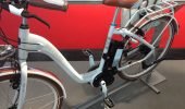 Kettler | Mittelmotor | Panasonic - Kettler layana