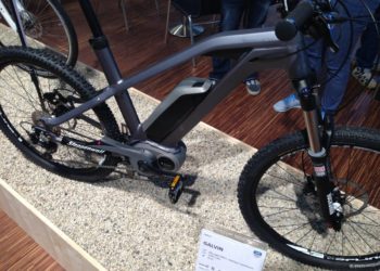 Steppenwolf Galvin mit Bosch Activ Line