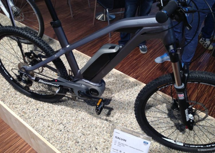 Steppenwolf Galvin mit Bosch Activ Line