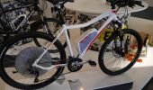 Heckantrieb | Wheeler - P1000151