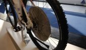 Heckantrieb | Wheeler - P1000153