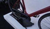 Diavelo | Kardanwellenantrieb | Pedelec - P1000175