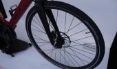 Diavelo | Kardanwellenantrieb | Pedelec - P1000184