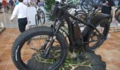Impulse | Mittelmotor | Univega - P1020174