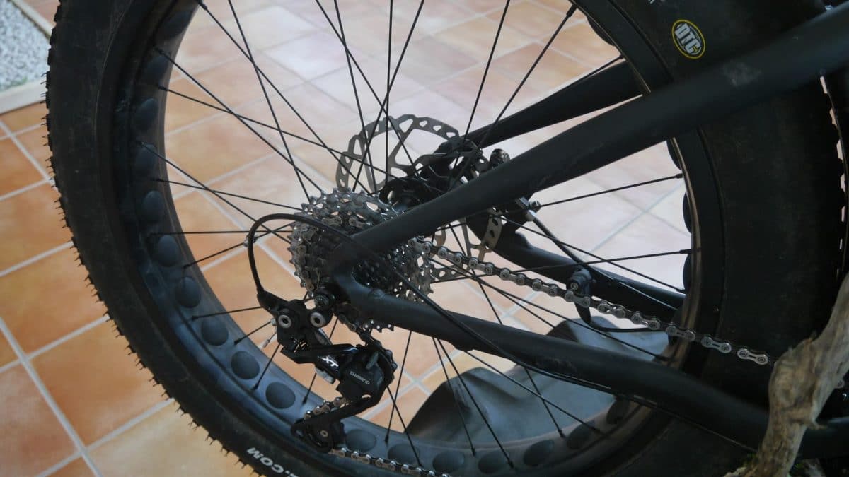 Univega Impulse Fat Bike  Schaltung / Foto: eBikeNEWS