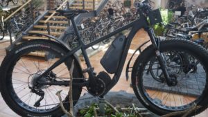 Univega Impulse Fat Bike: E-Bike mit Impulse 2 Antrieb entdeckt