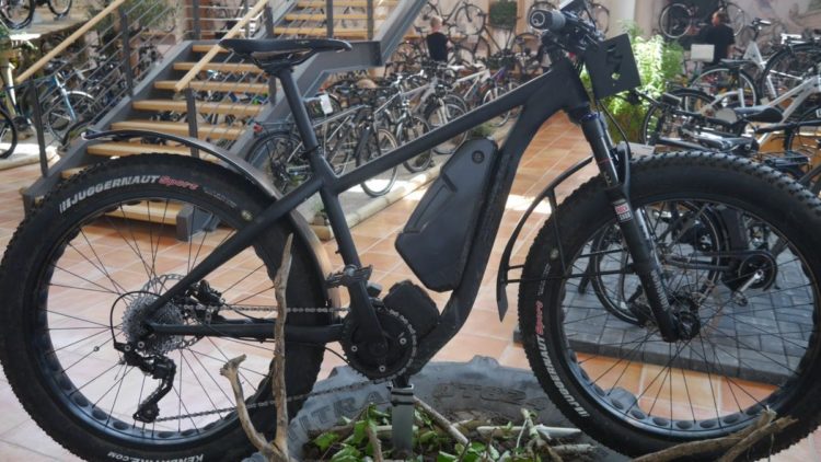 Univega Impulse Fat Bike Totale / Foto: eBikeNEWS
