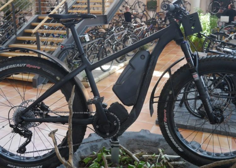 Univega Impulse Fat Bike Totale / Foto: eBikeNEWS
