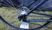 Leichtes E-Bike | Momentum Electric - DSC00458
