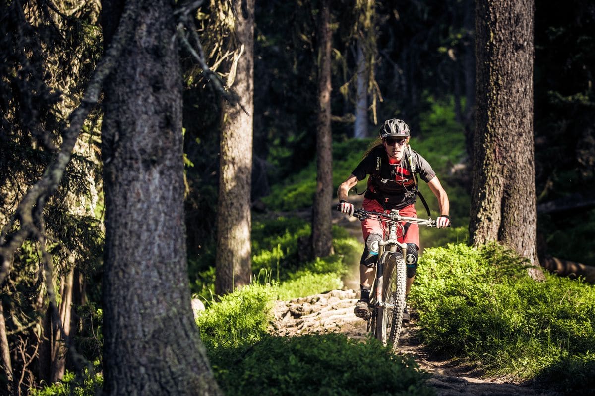 Rotwild Shooting Saalbach für Markt