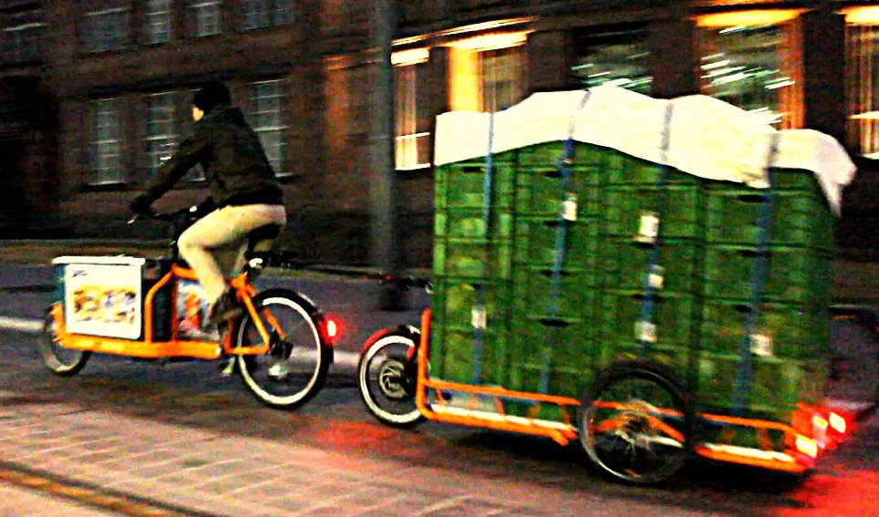 Carla Cargo Fahrradanhänger - Sicher auch im Dunkeln.