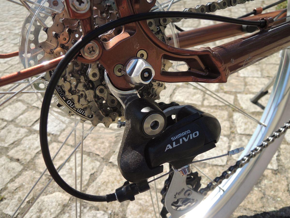 gute Shimano Ausstattung im Cäsar von Ego Movement