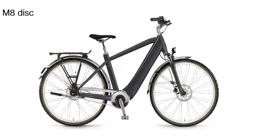 Das WInora Manto M8 disc