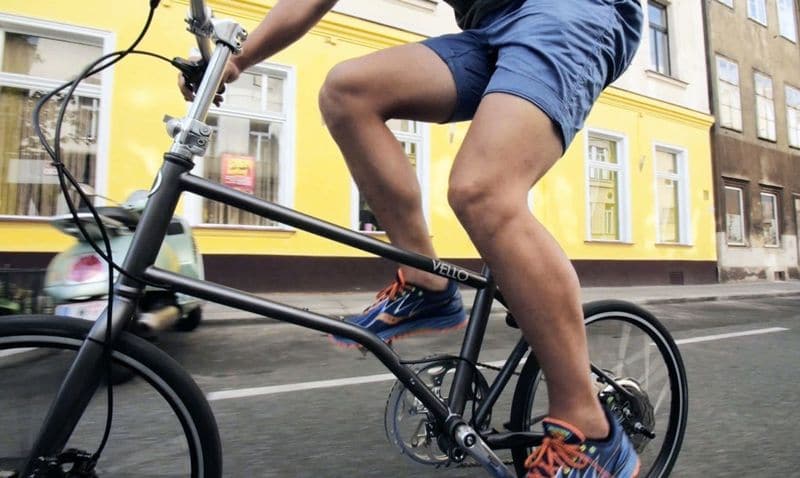 Falt e-Bike Vello Bike+ mit Zehus Antrieb