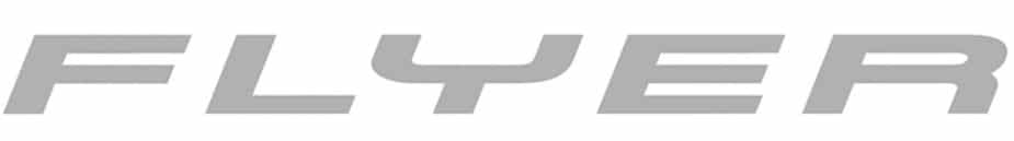 - flyer logo