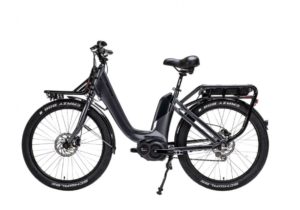 Gepida Cargo: E-Bike für die Industrie