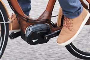 Bambus e-Bike von My Boo