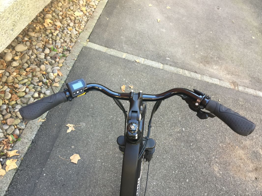 800px_Allegro Invisble Roadbike Comfort im Test 6414 - Wolfgang