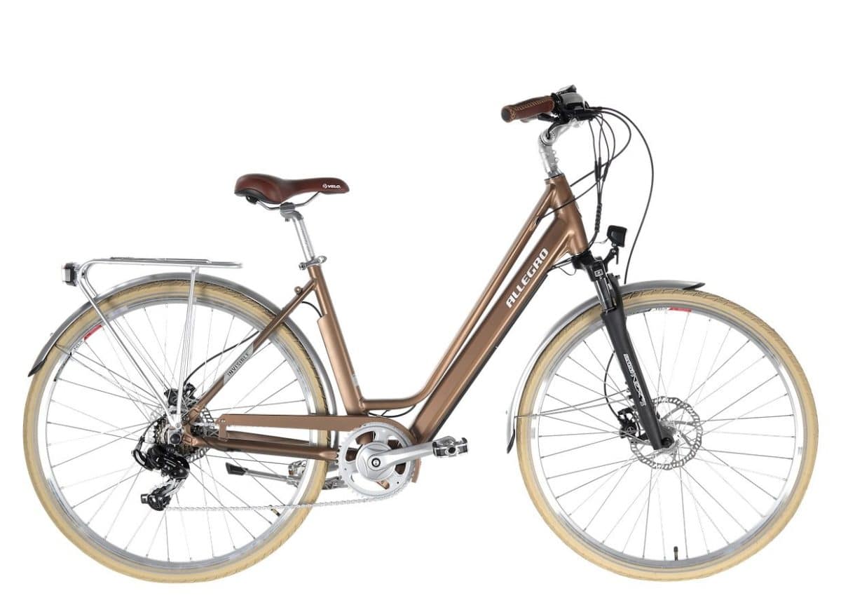Allegro e-Bikes Invisible City bronze