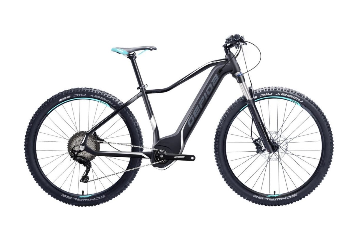 Gepida 2018 e-MTB Asgard 27,5 integriert