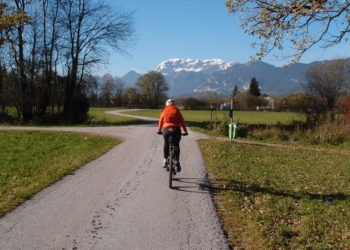 Test Vivax Optimo E-Mountainbike
