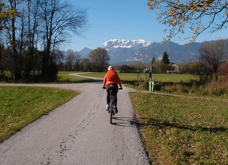 Test Vivax Optimo E-Mountainbike