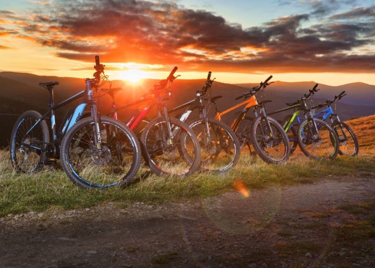 Fischer e-Bikes 2018 FISCHER_EMTB