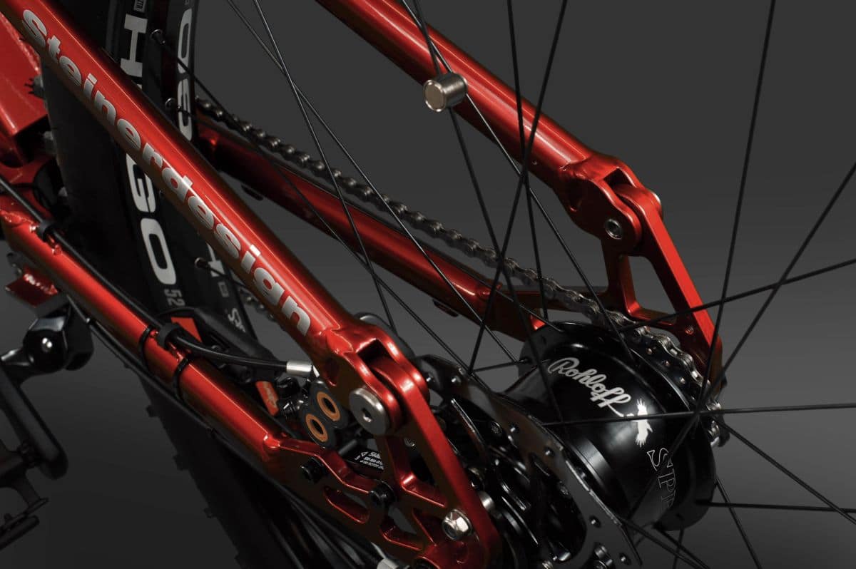 Steinerdesign Speed-Rohloff