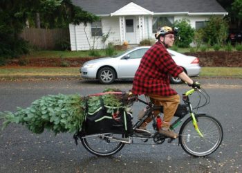 Weihnachtsbaum mit dem (e-)Bike transportieren