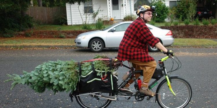 Weihnachtsbaum ohne Auto transportieren: So wird der Tannen-Trip nicht zum Abenteuer Weihnachtsbaum mit dem (e-)Bike transportieren
