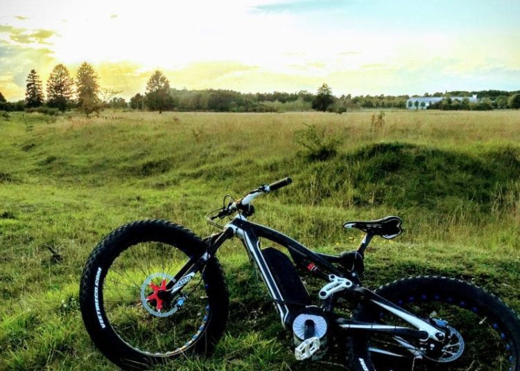 Wicked Fatbike whitey