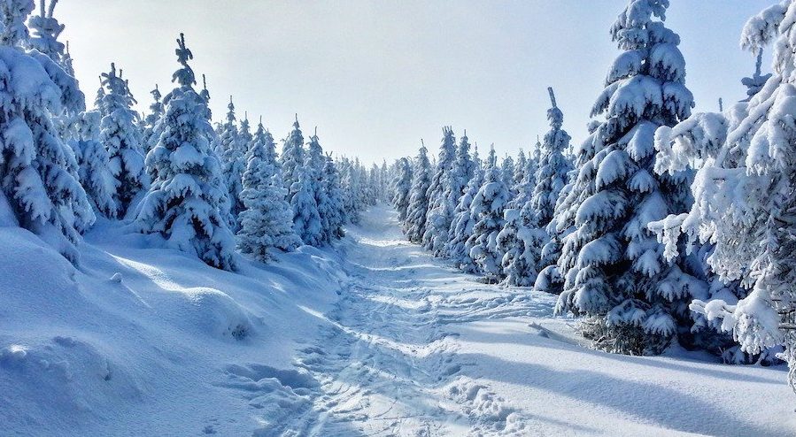 Winter Landschaft