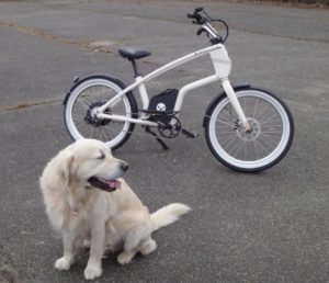 YouMo Cruiser e-Bike Test: Stark und entspannt