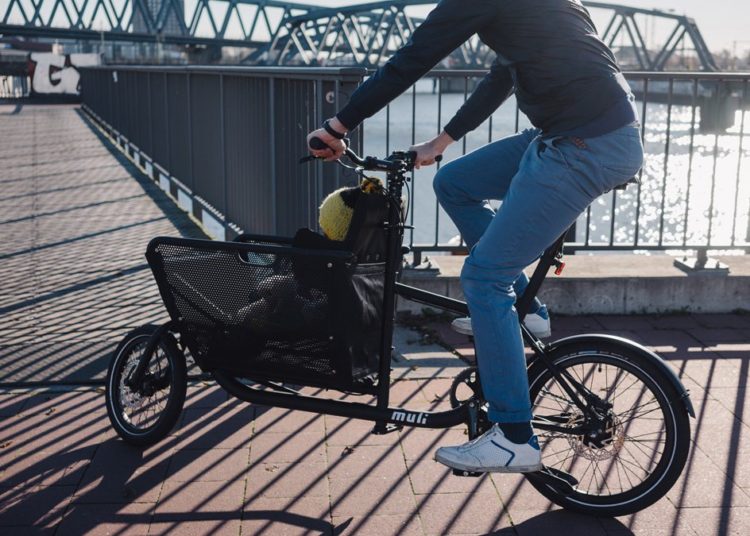 e-Lastenrad Muli -Kids