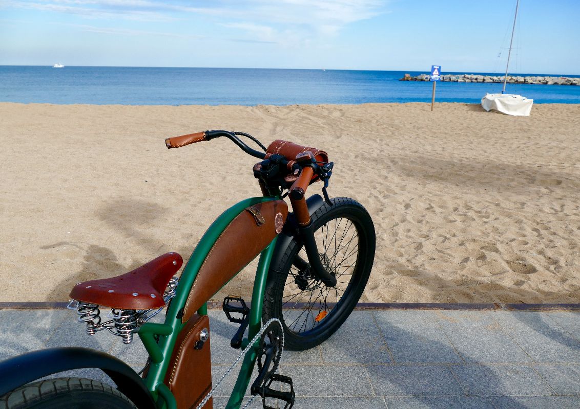 Rayvolt Cruzer e-Bike Barcelona P1020406
