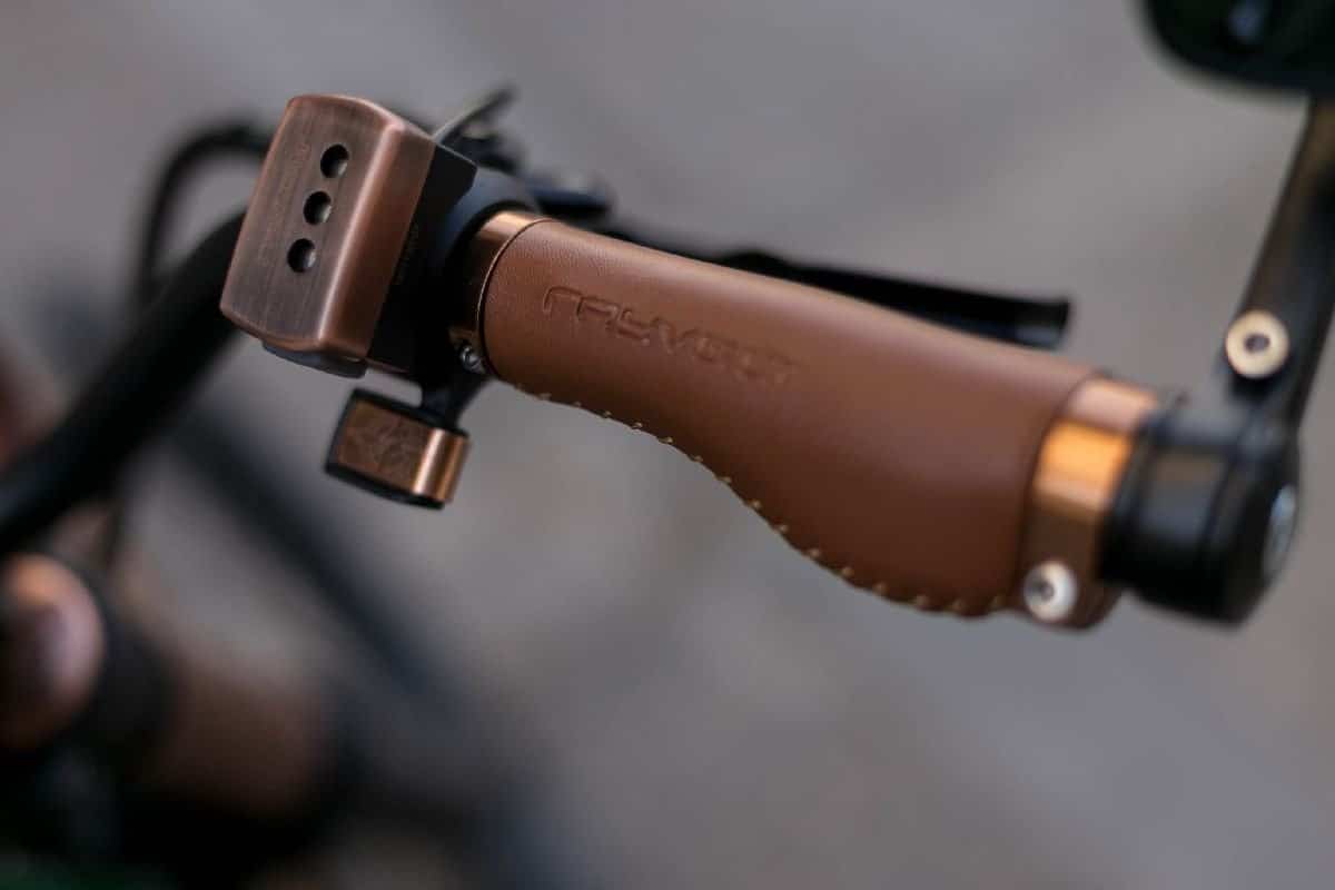 Rayvolt Cruzer e-Bike Barcelona Throttle vlcn-7133