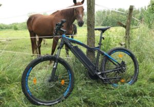 NCM Moscow Plus Test: Günstiges Hardtail E-MTB