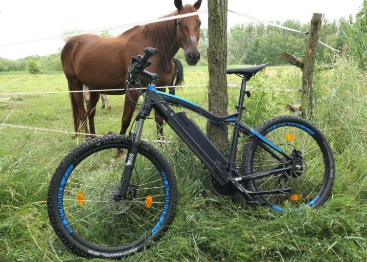 E-Mountainbike | NCM - P1020569 moscow pferde 2 links b h k gr bl 1 WM