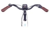 Display am Lenker des NCM Milano Max
