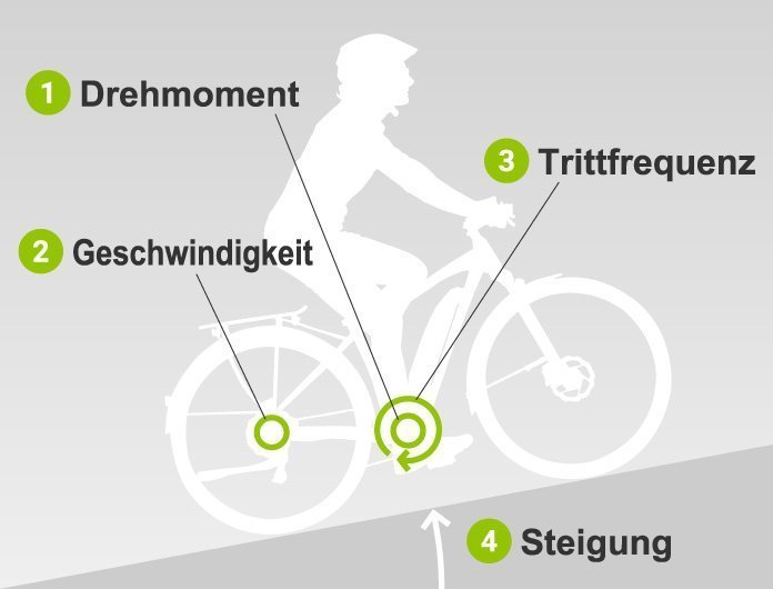 Darstellung des Quad Sensor Systems