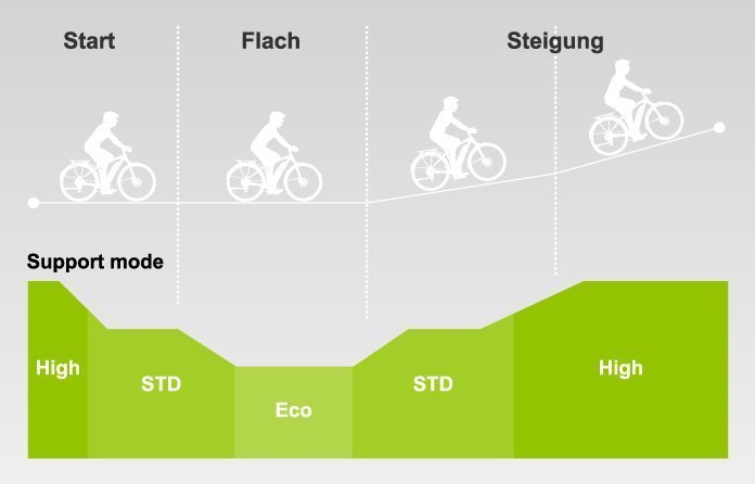 Yamaha PW TE Leistung nach Steigung